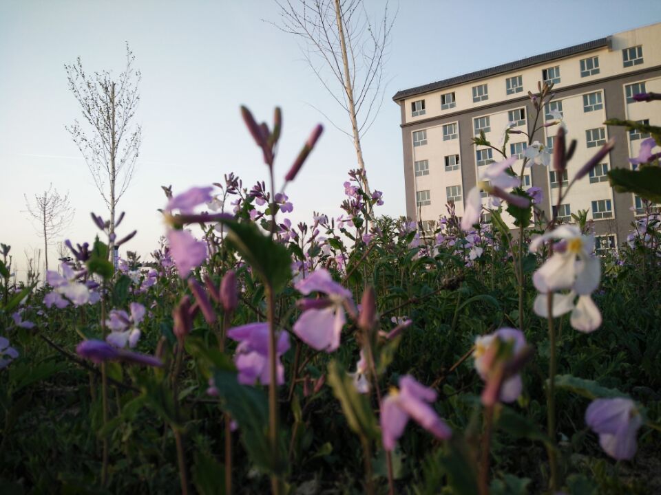 校园风采