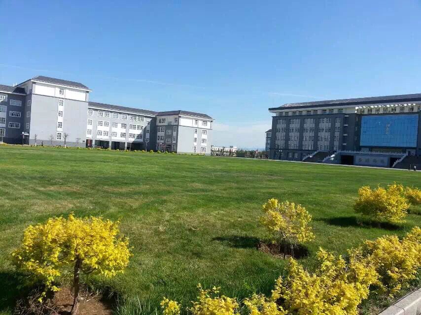 学院草坪