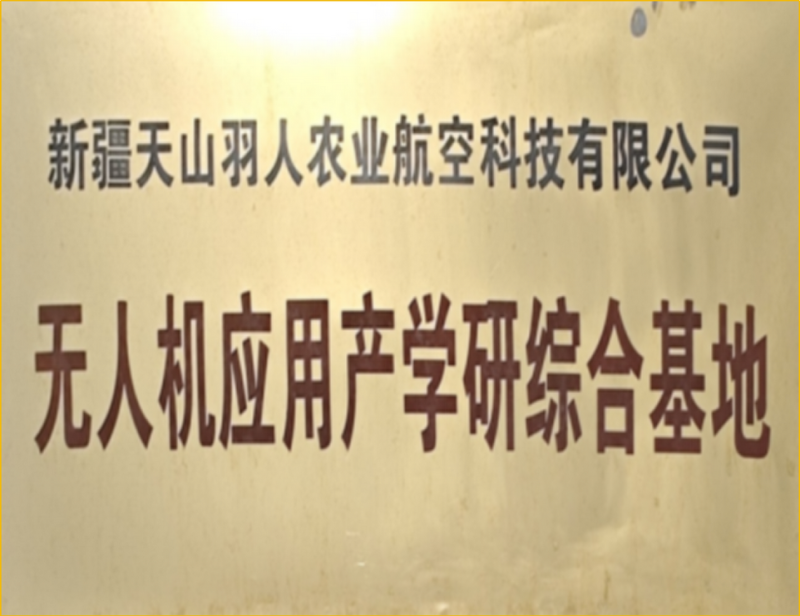 10.png